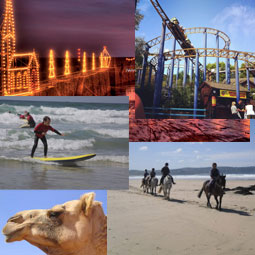 Family Activities